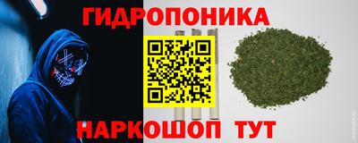 PSILOCYBIN Брянск