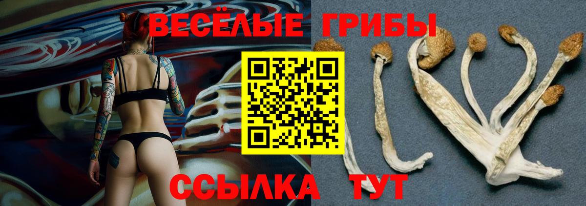 Псилоцибиновые грибы GOLDEN TEACHER  Псилоцибиновые грибы ЛСД  Сердобск  Вход с VPN 